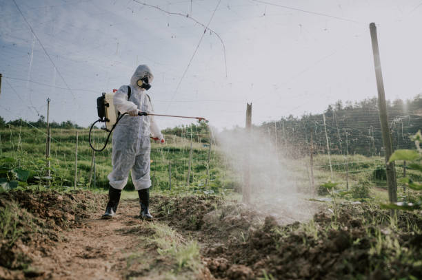 Best Best Pest Control Companies  in Sikeston, MO