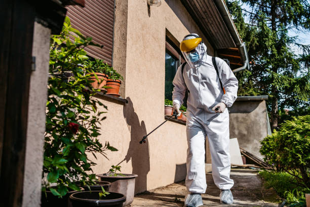 Best Best Pest Control Companies  in Sikeston, MO