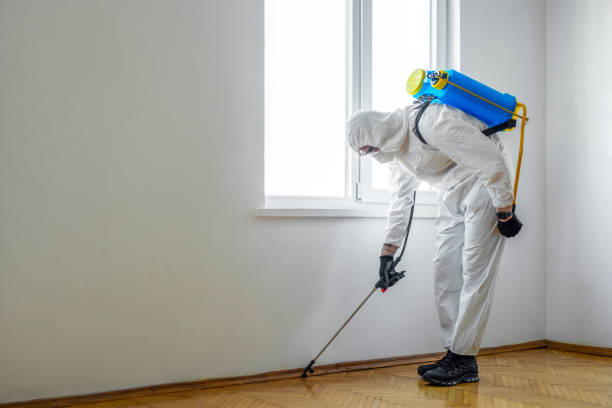 Pest Prevention Services in Sikeston, MO