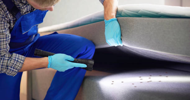 Best Commercial Pest Control Services  in Sikeston, MO