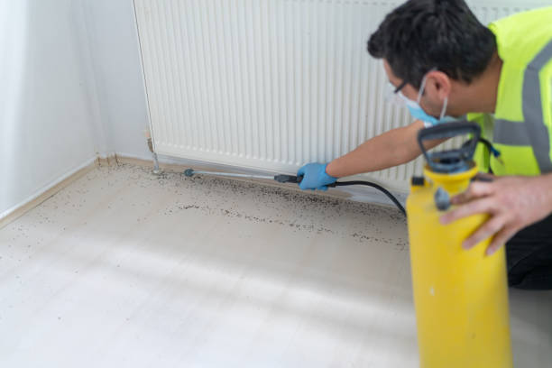 Best Affordable Exterminators  in Sikeston, MO